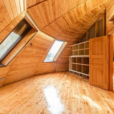 The Forest Sea Dome * Várna