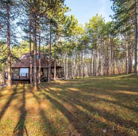 The Forest Sea Dome * Várna