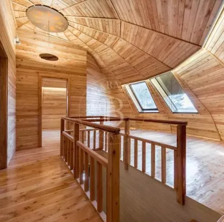 The Forest Sea Dome Warna