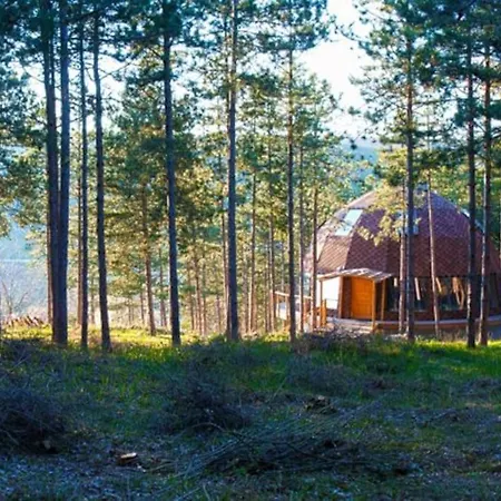 The Forest Sea Dome Warna