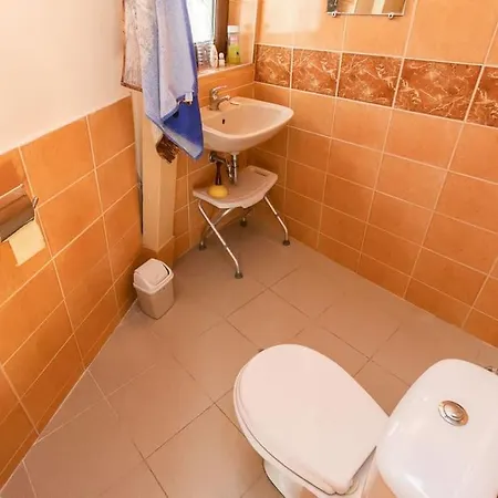 The Forest Sea Dome Warna