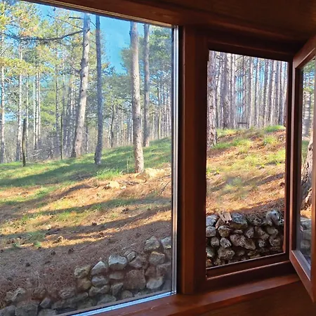 The Forest Sea Dome Villa Varna