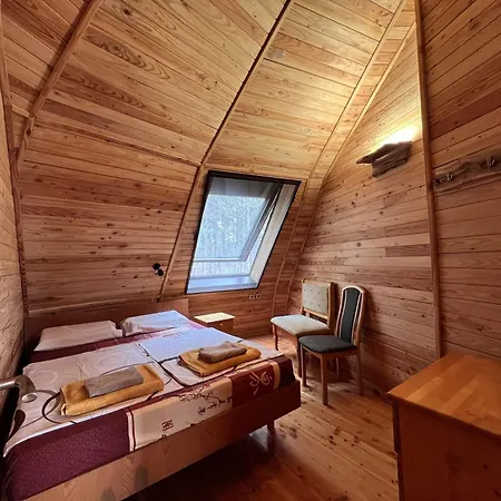 The Forest Sea Dome * Varna