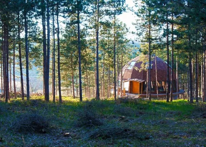 The Forest Sea Dome Varna