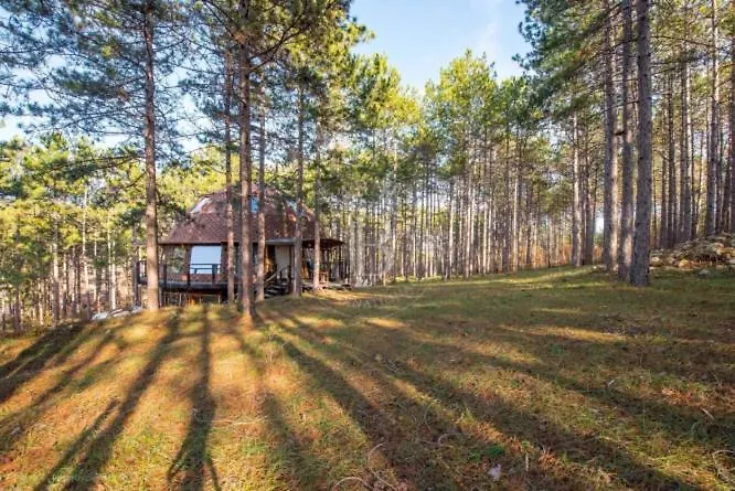 The Forest Sea Dome * Varna