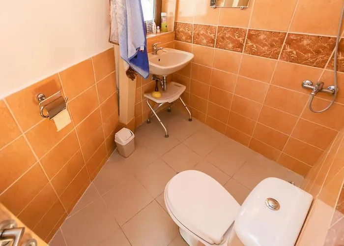 The Forest Sea Dome Varna