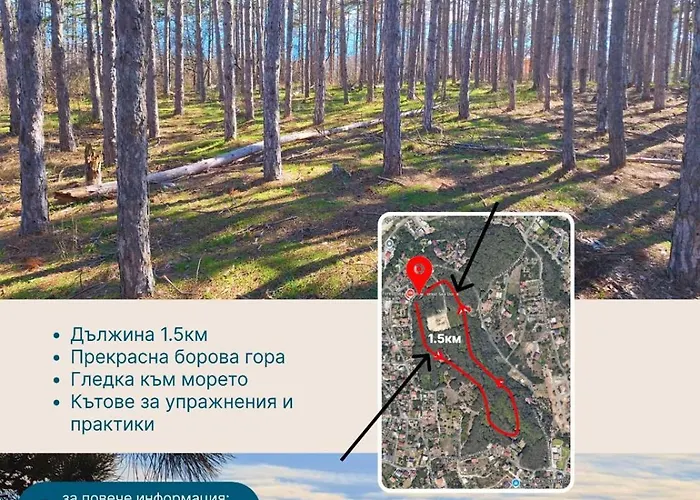 The Forest Sea Dome Villa